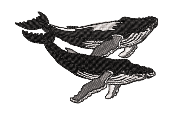 Playful Whale Embroidery Design Review